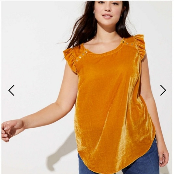 Loft Yellow Velvet Button Ruffle Shell Top - S - Picture 2 of 6